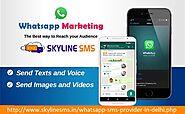 Whatsapp SMS Provider | Whatsapp Marketing Service in Delhi NCR
