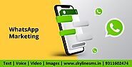 Whatsapp Marketing Provider