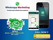 WhatsApp Marketing Services India|Best Price Whatsapp Bulk SMS In Delhi