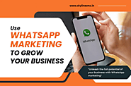 Bulk Whatsapp Service Provider Company