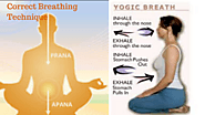 YOGIC BREATHING-The Correct Breathing Technique