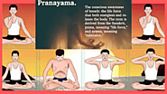 Pranayama-What Is “Pranayama” and Prana and Pranayama Types?