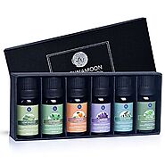 Lagunamoon Essential Oils Top 6 Gift Set Pure Essential Oils for Diffuser, Humidifier, Massage, Aromatherapy, Skin & ...