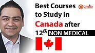 Top Courses in Canada After 12th Non Medical