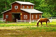 Factors To Consider When Installing A Horse Barn | Get Advance Info