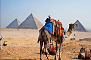 Website at https://egypttours2021.over-blog.com/2020/10/luxury-egypt-vacation-cairo-luxor-aswan-tour-packages-8.html