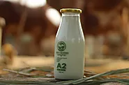 Urban Farms Pune|Desi Cows Milk|A2 Milk In Pune|Gir Cows Milk| Pure Cows Milk Delivery| A2 Milk Price| Organic Milk