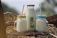 Benefits Of A2 Milk In Pune | Best A2 Milk Home Delivery Services In Pune