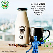 Urban Farms Pune|Desi Cows Milk|A2 Milk In Pune|Gir Cows Milk| Pure Cows Milk Delivery| A2 Milk Price| Organic Milk