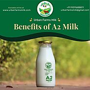 a2 milk benefits