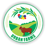 Urban Farms milk Pune| A2 Brand Milk |Gir Cows Milk| A2 Milk Price|Organic Milk Pune|Fresh Cow Milk in pune