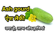 Ash gourd in hindi: फायदे, नुकसान, इत्यादि