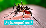 डेंगू बुखार: कारण, लक्षण, उपचार इत्यादि | Dengue symptoms in hindi