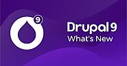 A Quick Look at Drupal 9: What to Anticipate From the New Release