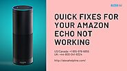 Quick and Easy Fix For Your Amazon Echo Not Working – Alexa Helpline