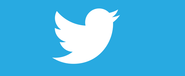 Twitter z kolejnym rekordem w Polsce - już 2,8 mln użytkowników