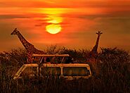 Top 10 tourist destination in south Africa | The Tourists World