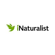 A Community for Naturalists · iNaturalist