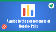 A Guide to Google Plus Polls - Plus Your Business