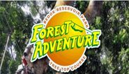 Forest Adventure