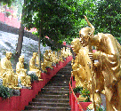 10,000 Buddha's Temple
