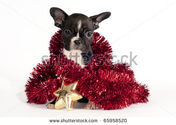 Cute French Bulldog Christmas Ornaments