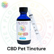 How CBD Pet Tincture Helps Your Pet from any Inflammation Reaction?