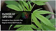 Strengthen Your Life With The Organic Hemp CBD Products
