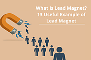 What Is A Lead Magnet? Explained With 13 Best Lead Magnet Ideas - SFWP Experts