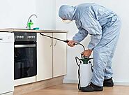 Major Reasons for Seeking the Services of a Residential Pest Control Company