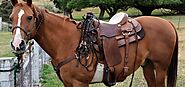 Best Horse Saddles: Safe for Both Rider and Horse