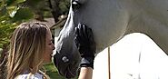Top #15 Best Horse Riding Gloves Reviews In 2020