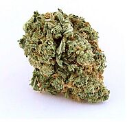 Buy High Quality Blue Dream Weed Strain online without a script | 45% off
