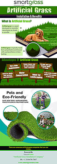 Synthetic Grass for pets | Artificial Turf for Dogs - Smart Grass USA