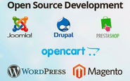 Hire wordpress developers, hire wordpress developers india - Parshwa Technologies