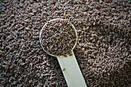 Manufacturer & Supplier of Plantago Ovata & Psyllium Seeds