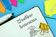 Weather Insurance