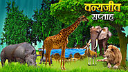 Get Videos/TV Shows On Nature Wildlife in India- India Science