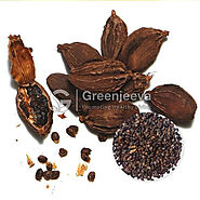 USDA Bulk Organic Black Cardamom Seed Powder Supplier USA