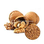 Affordable Bulk Walnut Seed Powder | Walnut Seed Powder Supplier