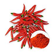 USDA Approved Bulk Organic Red Chili Powder Supplier