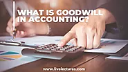 What Is Goodwill In Accounting? | Meaning, Types, Example