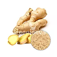USDA Approved Bulk Organic Ginger Powder Supplier in USA