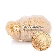 Bulk Organic Lion'S Mane Powder | Lion'S Mane Powder Supplier