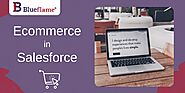 Ecommerce in Salesforce | Best Salesforce Consulting Partners