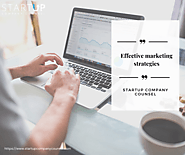 PPC trends 2021 as an effective marketing strategy for startups