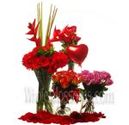 Floral Arrangements Tropical Flowers for Occasions