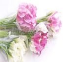 Online Shop for Mini Calla Lilies Wedding Bouquets
