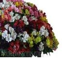 Wholesale Alstroemeria Flowers Online