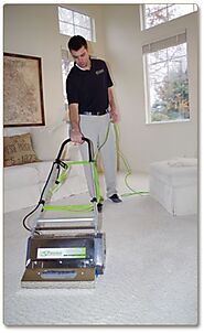 Website at https://callmycleaner.com/what-is-the-best-carpet-cleaning-method/